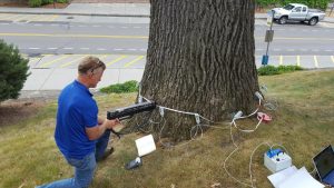 Chris luley, PHD tree-testing