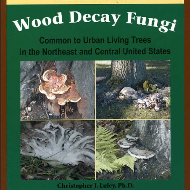 Book cover: Wood Decay Fungi