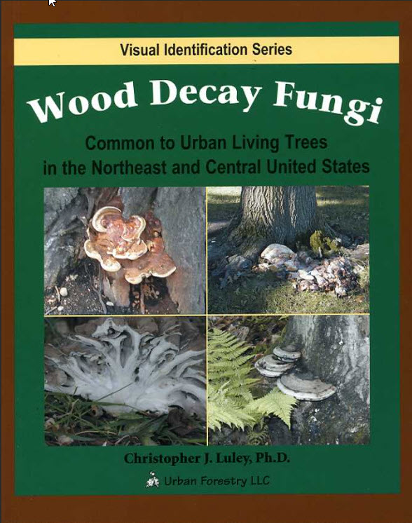 Book cover: Wood Decay Fungi