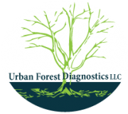 Urban Forest Diagnostics
