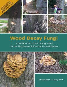 Wood Decay Fungi Common to the Northeast and Central United States book cover and link.